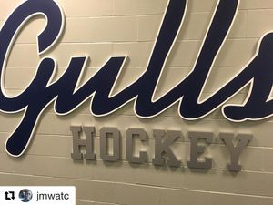 Image post by @endicott_ap on Instagram