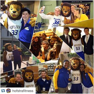 Image post by @hofstrau on Instagram