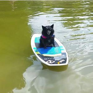 Image post by @connellywatersports on Instagram