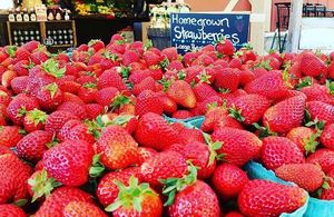 Image post by @tourismabbotsford on Instagram