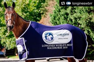Image post by @australianturfclub on Instagram