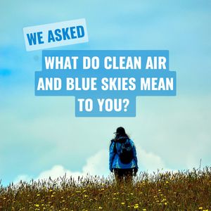 Image post by @Greenpeace on Twitter