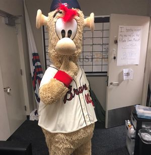 Image post by @blooperbraves on Instagram