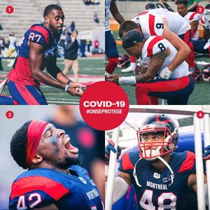 Image post by @mtlalouettes on Instagram