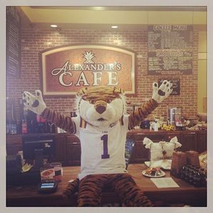 Image post by @lsumiketiger on Instagram