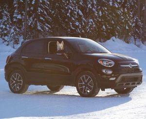 Image post by @fiatusa on Instagram
