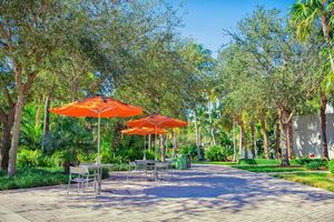 Image post by @univmiami on Instagram