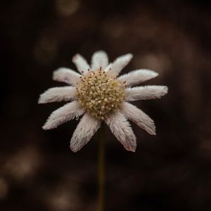 Image post by @moment on Instagram
