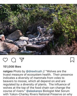 Image post by @ctwolveslax on Instagram