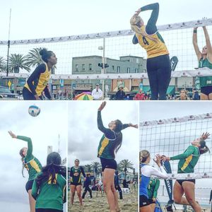 Image post by @usfdonsvb on Instagram