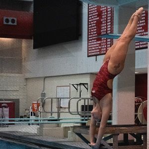 Image post by @razorbackswimdive on Instagram