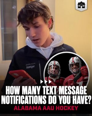 Image post by @hockeyhousepod on Instagram