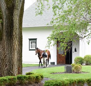 Image post by @spendthriftfarm on Instagram