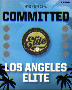 Image post by @madehoops on Instagram