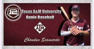Image post by @twelvebaseball on Instagram