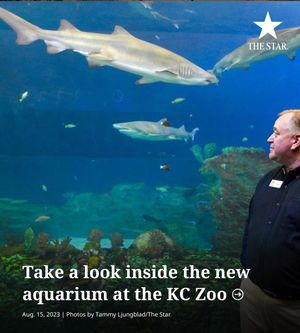 Image post by @thekansascitystar on Instagram