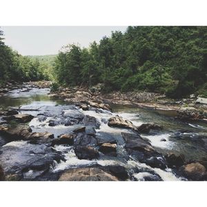 Image post by @themikeledford on Instagram
