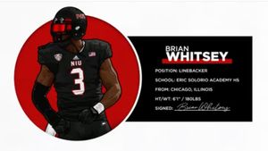 Image post by @niuhuskies on Instagram