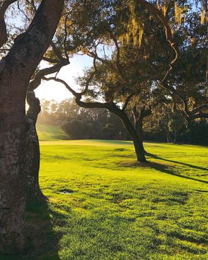 Image post by @pebblebeachresorts on Instagram
