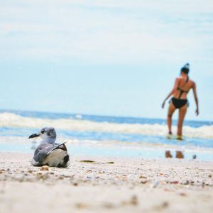 Image post by @visitsarasotacounty on Instagram