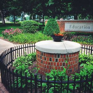 Image post by @olivetnazarene on Instagram