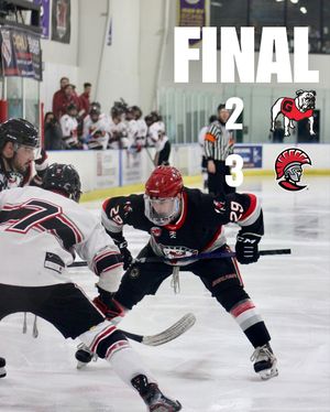 Image post by @ugahockey on Instagram