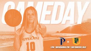 Image post by @pepperdinewbb on Instagram