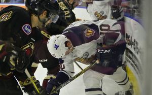 Image post by @swamprabbits on Instagram