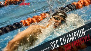 Image post by @ugaswimdive on Instagram
