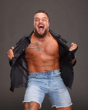 Image post by @tankledgerwwe on Instagram