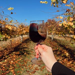 Image post by @chateau_elan on Instagram