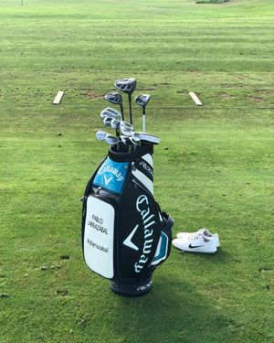 Image post by @plarrazabal on Instagram