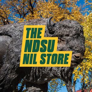 Image post by @ndsu.nil.store on Instagram