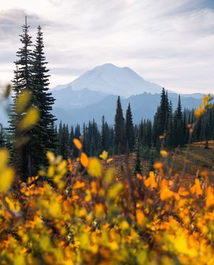 Image post by @nationalparkscollective on Instagram