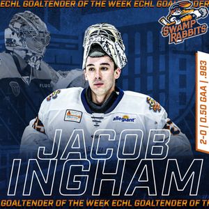 Image post by @swamprabbits on Instagram