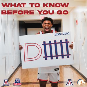 Image post by @zonazooofficial on Instagram