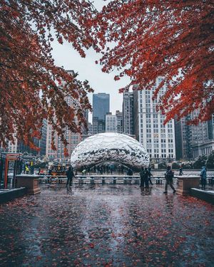Image post by @cathaypacific on Instagram