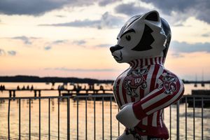 Image post by @BadgerMGolf on Twitter