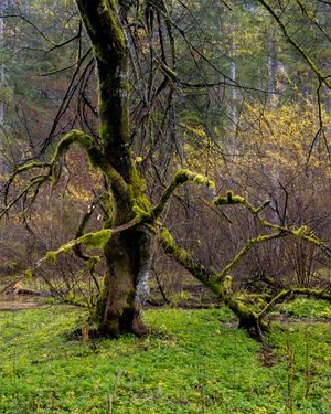 Image post by @cristan.nature.photography on Instagram