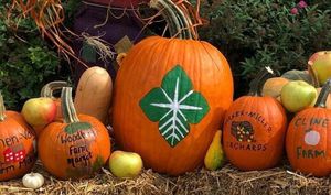 Image post by @farmcredit on Instagram