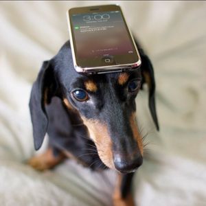Image post by @chime on Instagram