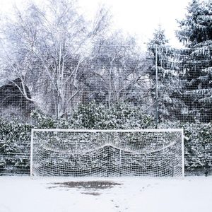 Image post by @fff on Instagram