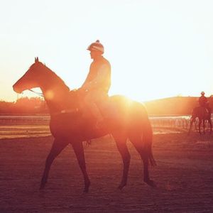 Image post by @australianturfclub on Instagram
