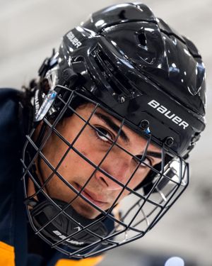 Image post by @bauerhockeyczech on Instagram