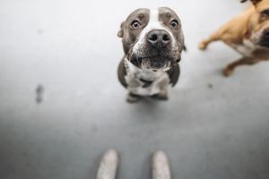 Image post by @nomadikrebelcreative on Instagram