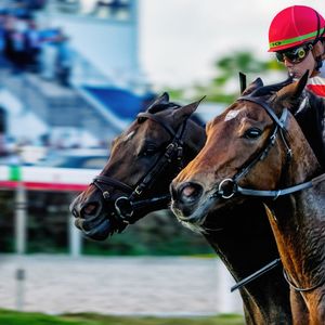 Image post by @pegasusworldcup on Instagram