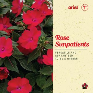 Image post by @bonnieplants on Instagram