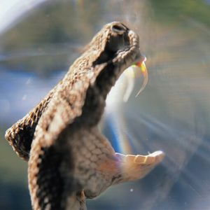 Image post by @discovery on Instagram