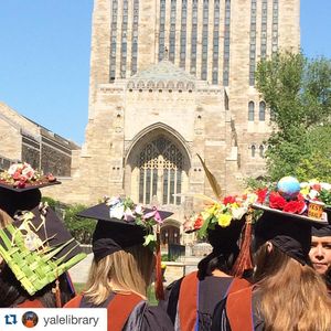 Image post by @yalevolleyball on Instagram