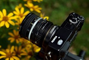 Image post by @fotodioxpro on Instagram